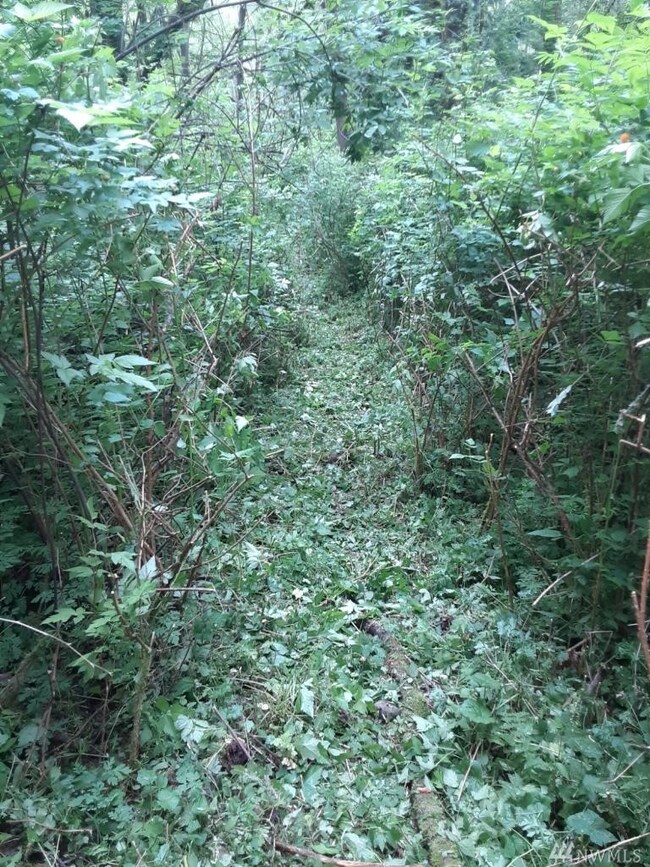 0 Orville Rd E unit 1602213, Orting, WA 98360 - photo 7