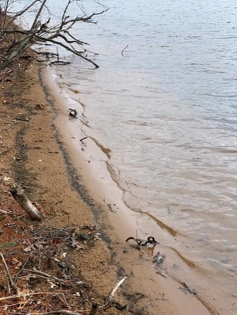 Approx. 282 feet of beach front. Private building site, acreage for wildlife, pond for waterfowl visits and access to Long Lake for all your water front fun!