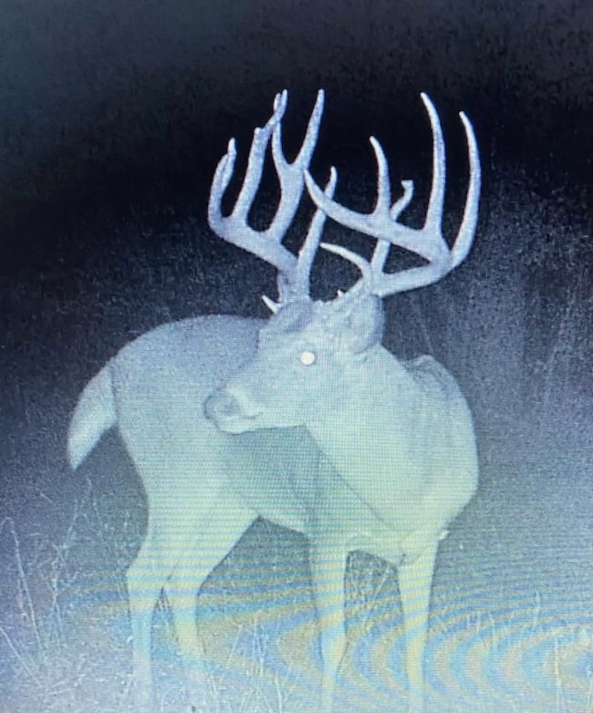 914 Douthit Rd, Sylvester, GA 31791 - photo 2