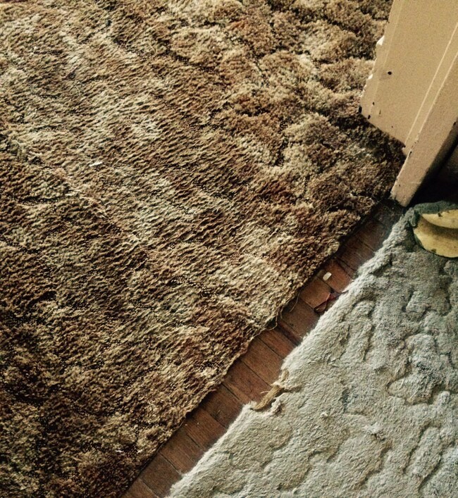 Hardwood and Carpet.jpg