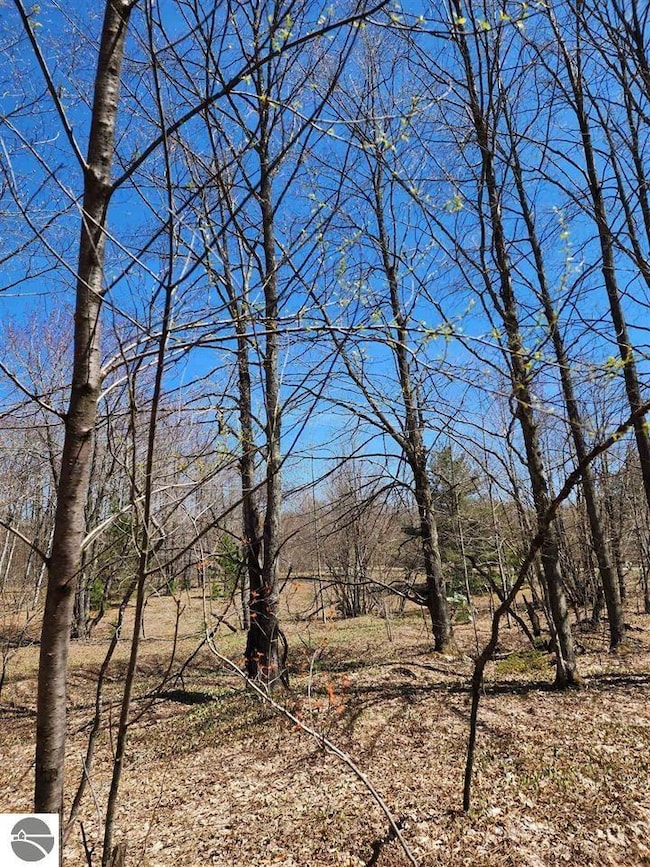 VL Wilamont Cir, Lakes of the North, MI 49659 - photo 3