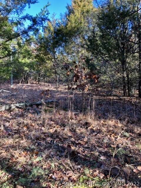 Flat lot for easy build