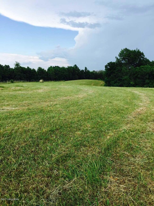 0 Cecil Noel Rd, Bloomfield, KY 40008 - photo 5