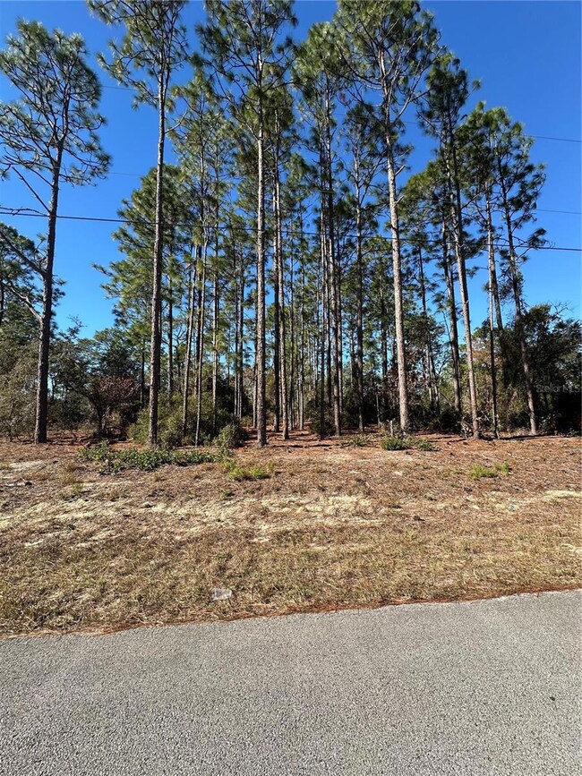 00 SW 209th Ave, Dunnellon, FL 34431 - photo 4