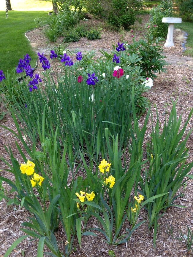 7532 Whistlewood SW, Byron Center, MI 49315 - photo 3