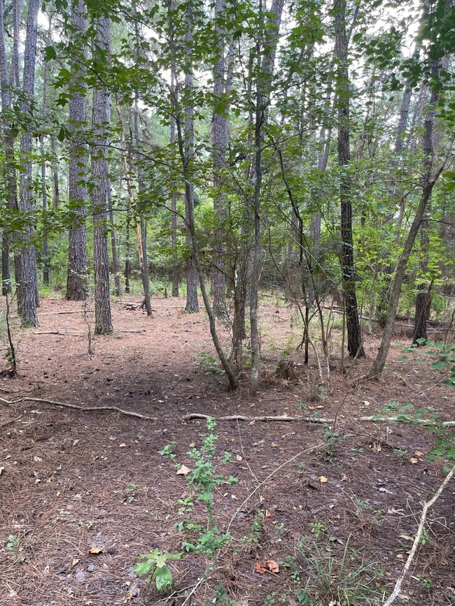 22425 Roberts Cemetery Rd, Hockley, TX 77447 - photo 4