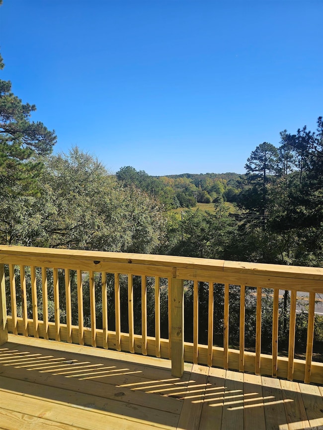 1717 N Fourche Ave, Perryville, AR 72126 - photo 3