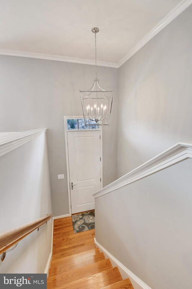 1305 Autumn Brook Ave, Silver Spring, MD 20906 - photo 2