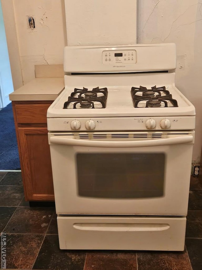 Gas Stove