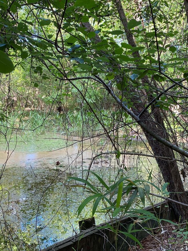 Little Pond