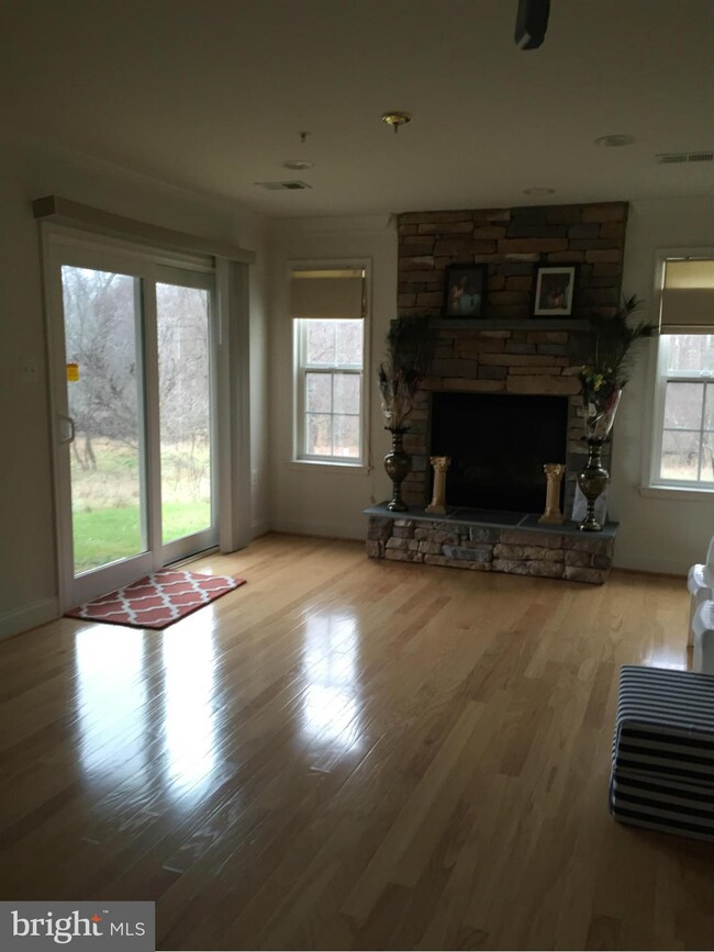 4319 Vintage Ivy Ln, Owings Mills, MD 21117 - photo 6