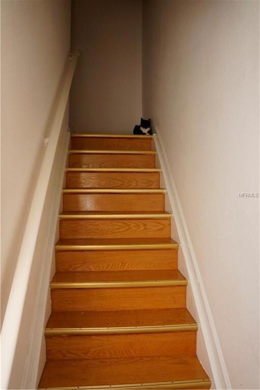 605 S Martin Luther King jr Ave unit 3, Clearwater, FL 33756 - photo 7