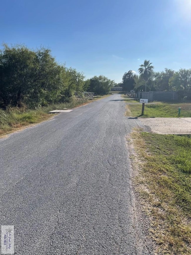 00 Irene unit 24 & 25, Arroyo Colorado Estates, TX 78586 - photo 2