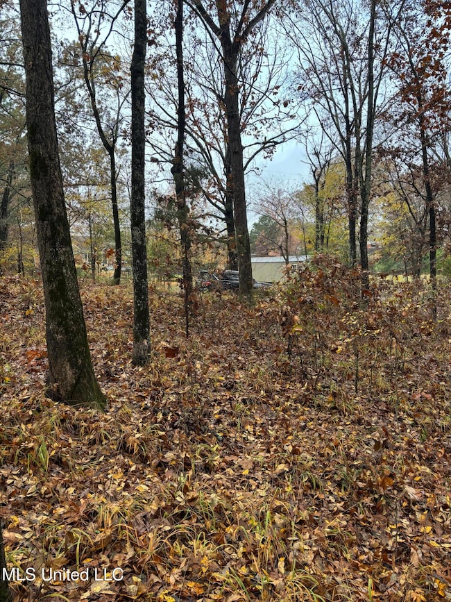 0 Alexander Dr, Olive Branch, MS 38654 - photo 5