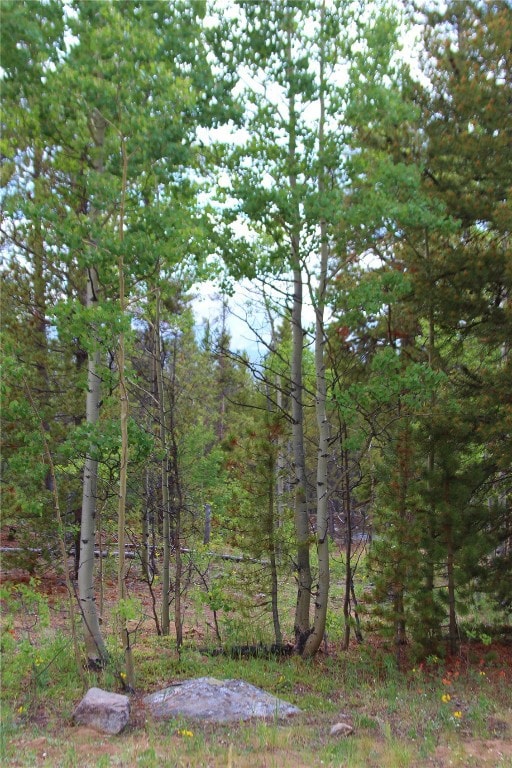 TBD Glacier Ridge Rd, Alma, CO 80420 - photo 3