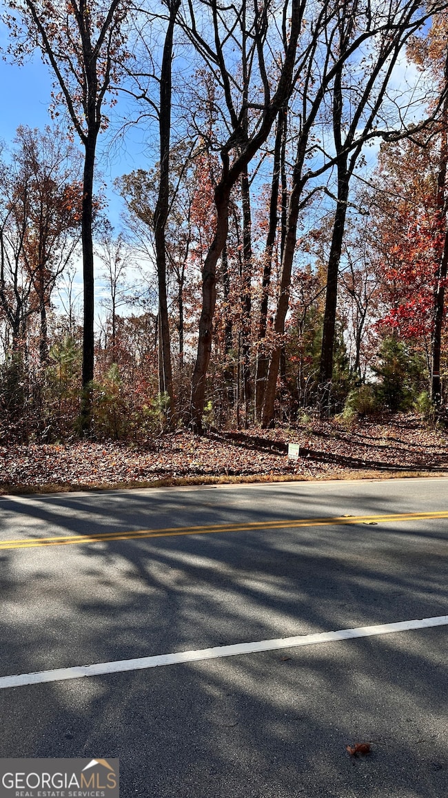 43 ACRES Ivy Springs Dr, Dallas, GA 30132 - photo 3