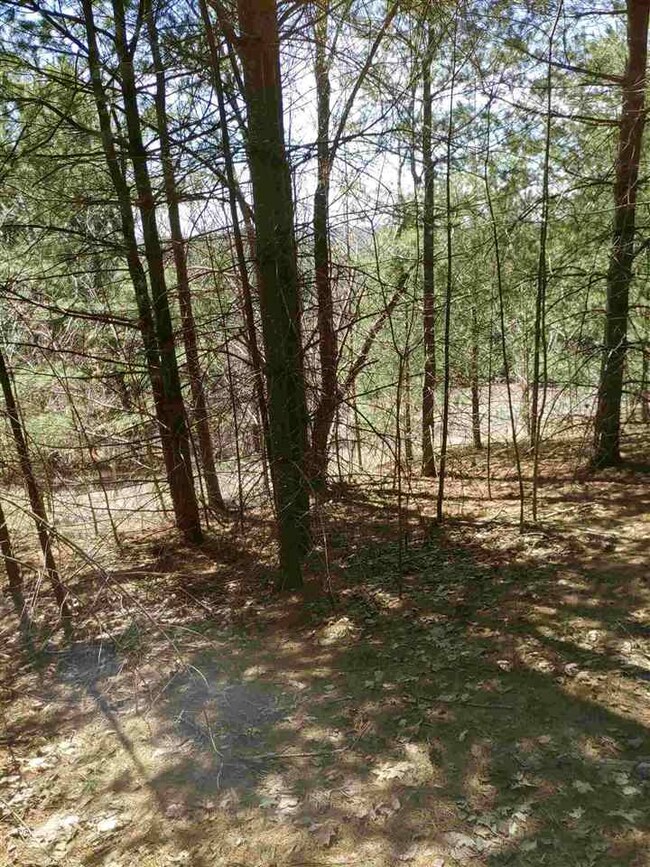 0 Springvale Rd, Petoskey, MI 49770 - photo 4