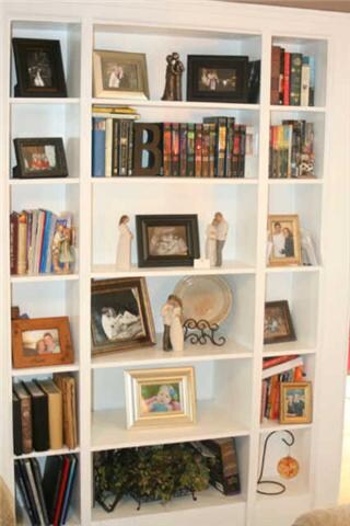 built in bookcases in the livingroom