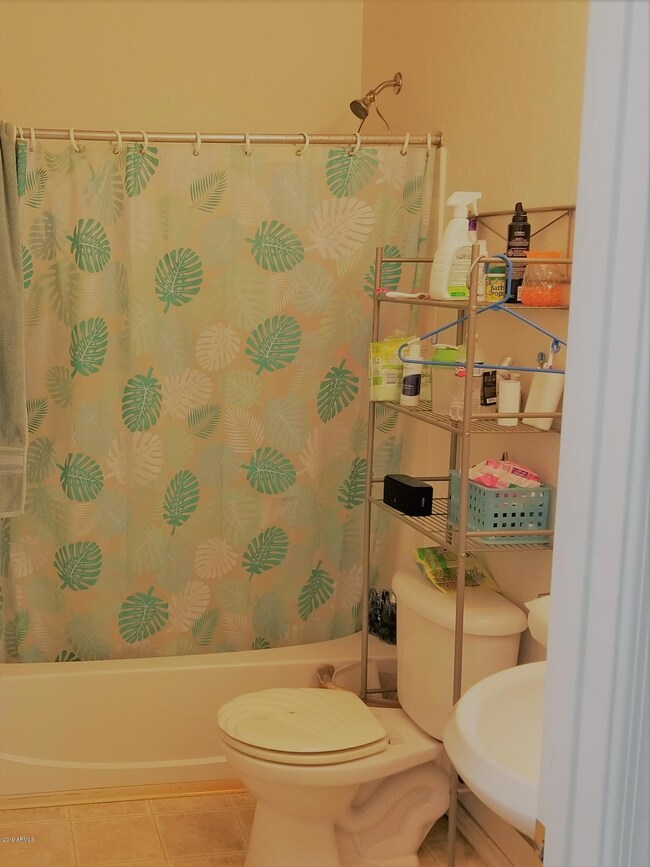 Full Downstairs Bathroom