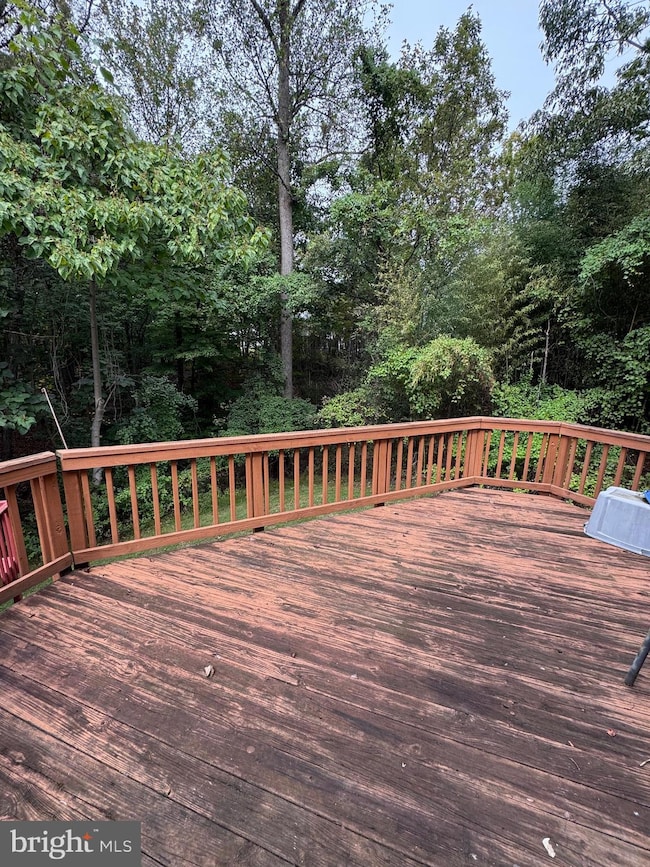 14738 Mcknew Rd, Burtonsville, MD 20866 - photo 3