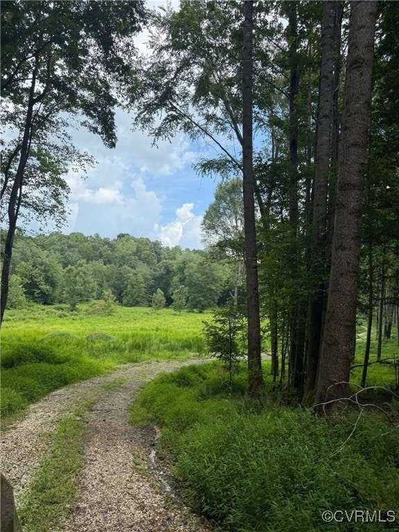 00 John Tyler Memorial Hwy, Charles City, VA 23231 - photo 2