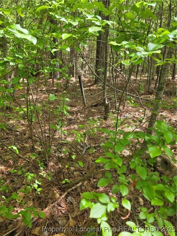 0 Fire Tower Ln, Raeford, NC 28376 - photo 2