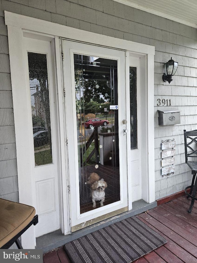 3911 4th St, Brooklyn, MD 21225 - photo 4