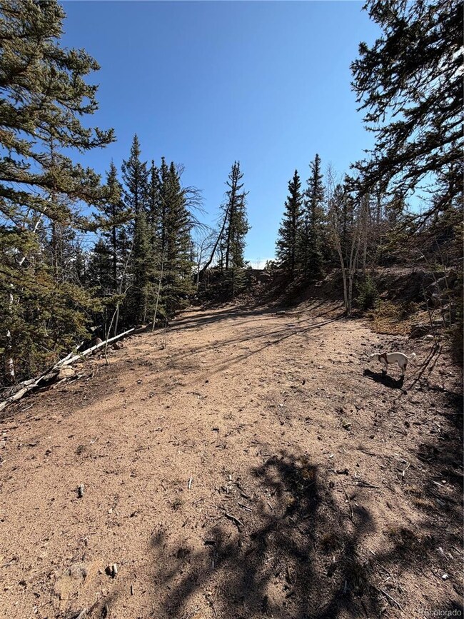 2201 Overland Cir, Jefferson, CO 80456 - photo 5