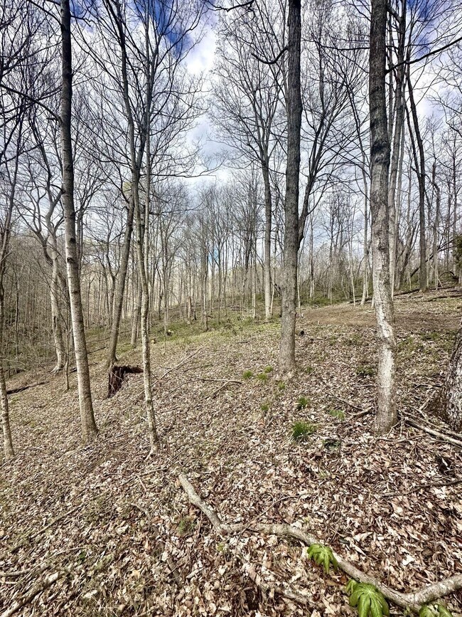 0 Little Kyger Rd, Cheshire, OH 45620 - photo 5