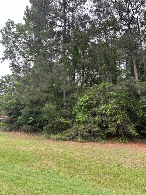 102 Ebner Lake Dr, Montgomery, TX 77316 - photo 2