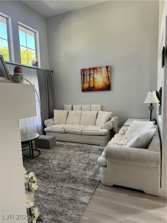 Living area featuring light wood-style floors