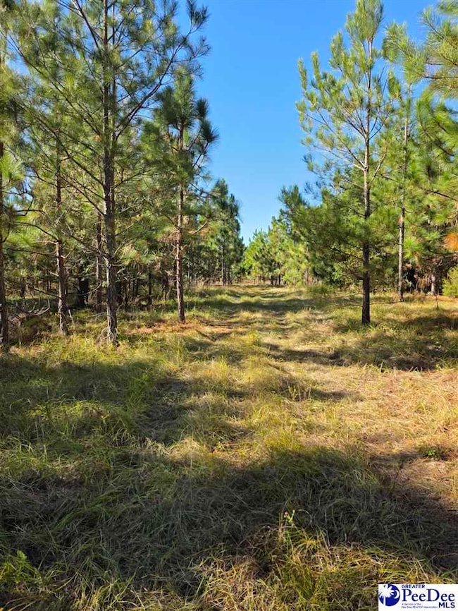 0000 S Carolina 265, Ruby, SC 29741 - photo 4