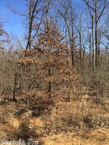 40 Acres County Road 766, Jonesboro, AR 72401 - photo 5