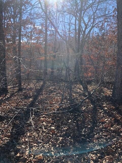 0 York (Leeds Ln) Dr unit 1100620, Bella Vista, AR 72714 - photo 2