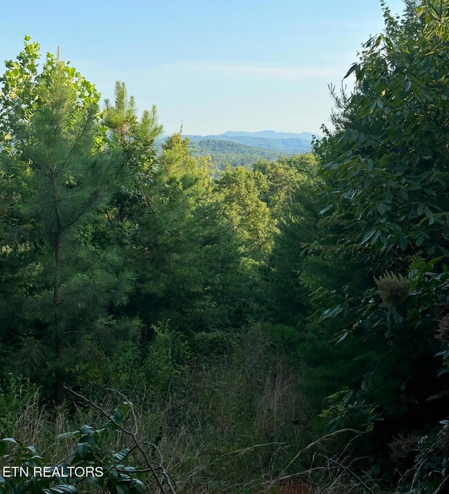 351 White Plains Rd, Vonore, TN 37885 - photo 3