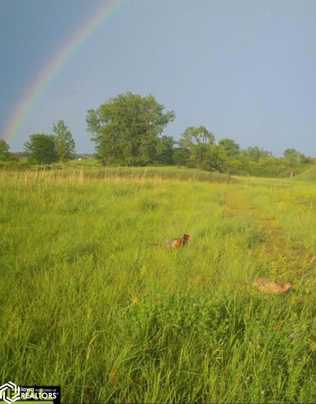 3215 305th St, Dows, IA 50071 - photo 2