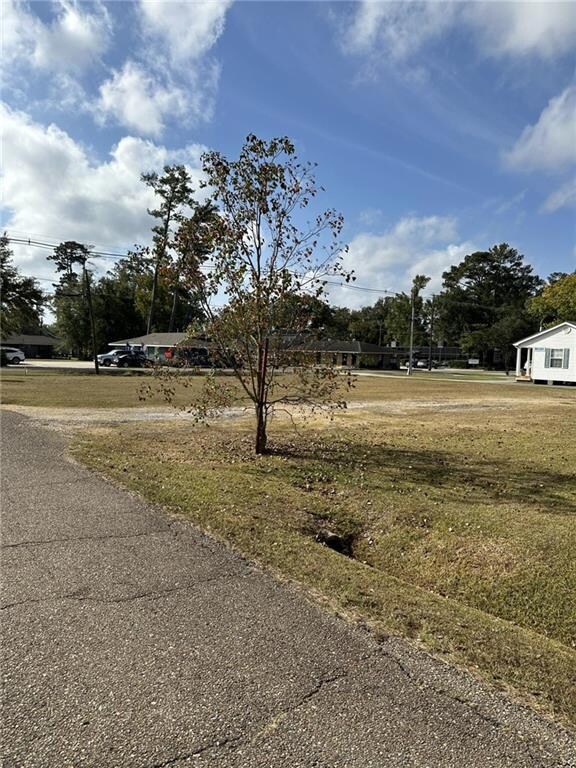 1000 W Thomas St, Hammond, LA 70401 - photo 4