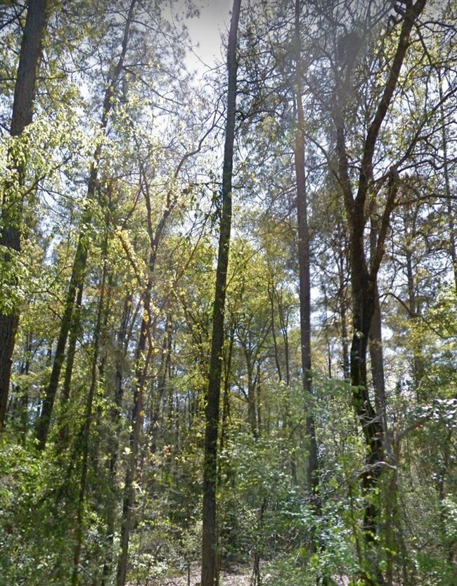 0 Penn Bonner Rd, Lufkin, TX 75904 - photo 4