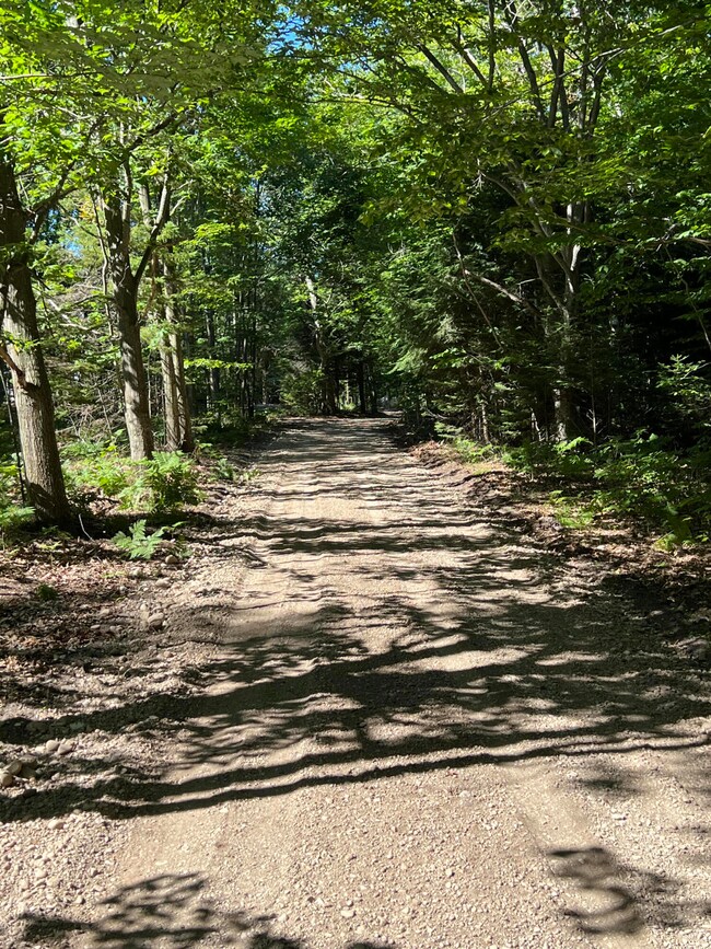 0 Buff-Malloy Dr, Beaver Island, MI 49782 - photo 4