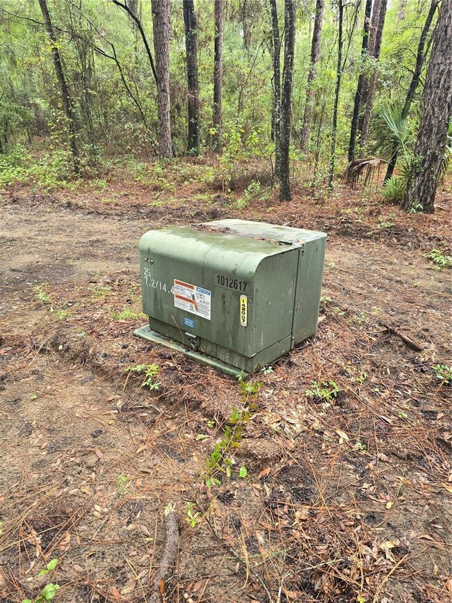 Lot 4 SW 194th Ave, Dunnellon, FL 34432 - photo 5