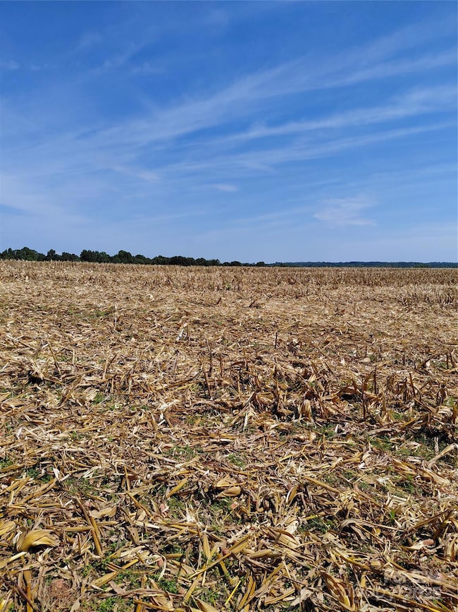 320 Howards Bridge Rd, Union Grove, NC 28689 - photo 5