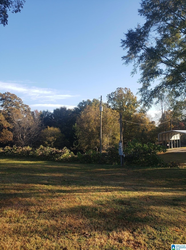 65865 Highway 22, Roanoke, AL 36274 - photo 4