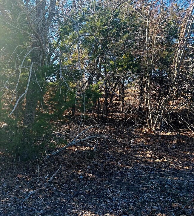 5B Greenway Bend, Pottsboro, TX 75076 - photo 4