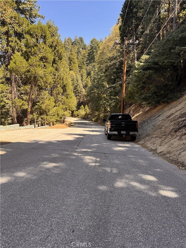 24355 Albrun Dr, Crestline, CA 92325 - photo 7