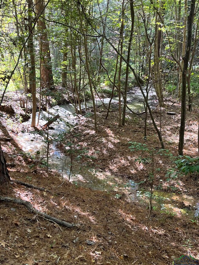 209 210 Cherokee Trail, Jefferson, TX 75657 - photo 2