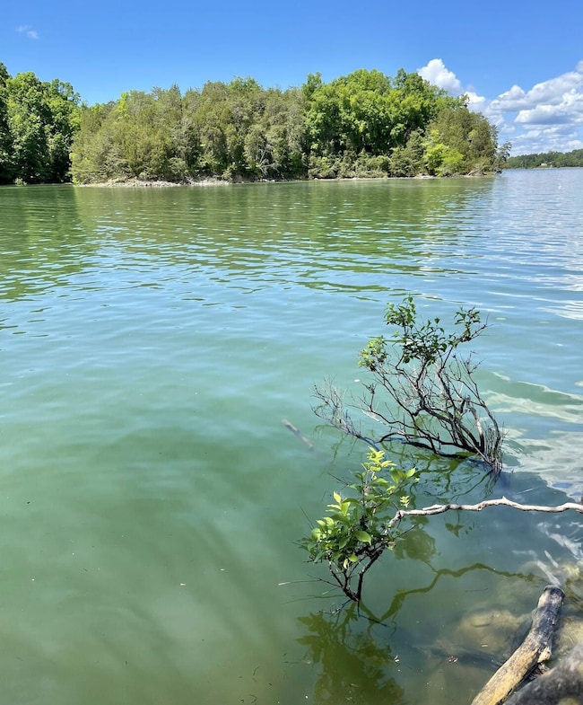 0 Sky Way, Dandridge, TN 37725 - photo 5