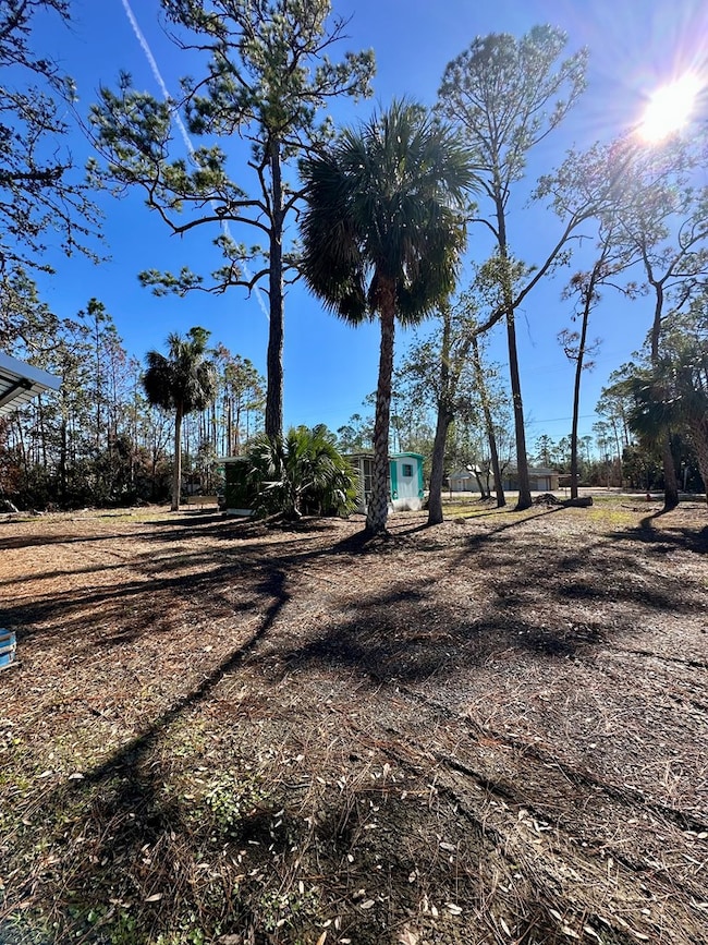 803 SE First Ave, Steinhatchee, FL 32359 - photo 7