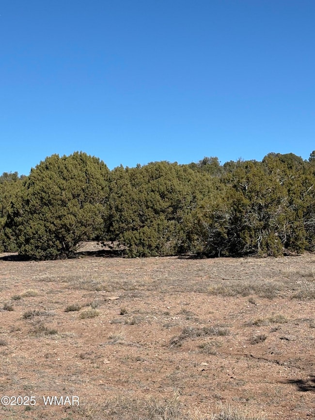 0 N8716 unit NW, Concho, AZ 85924 - photo 2