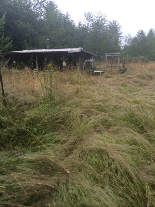 123 Center Rd, Quilcene, WA 98376 - photo 5