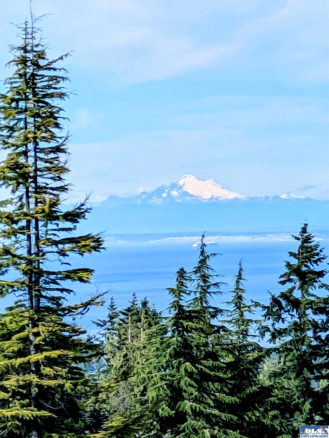 283 Fawn Ln, Sequim, WA 98382 - photo 7